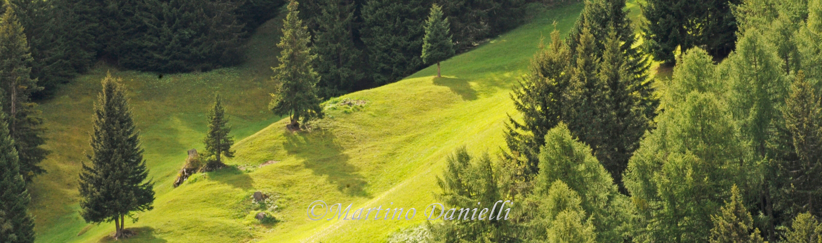 selva2.jpg