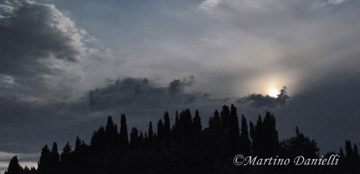 Agriturismo "Le Selve 2"